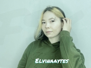 Elvinaaytes