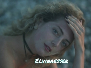 Elvinaesser