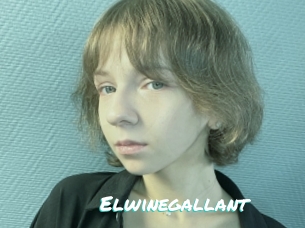 Elwinegallant