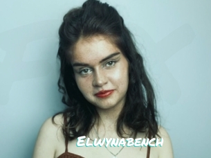 Elwynabench