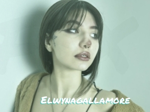 Elwynagallamore