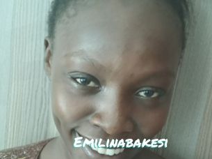 Emilinabakesi