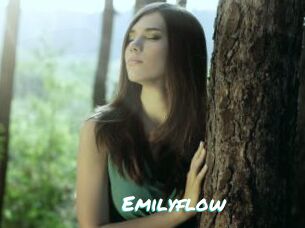 Emilyflow