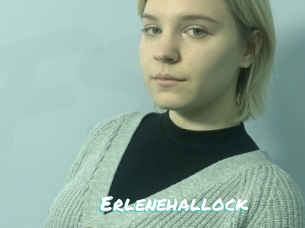 Erlenehallock