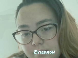 Eviedash