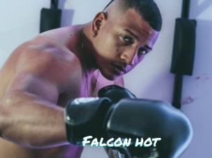 Falcon_hot