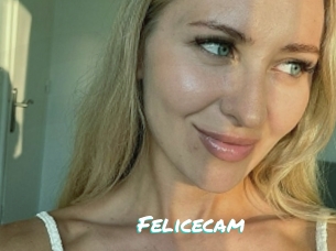 Felicecam