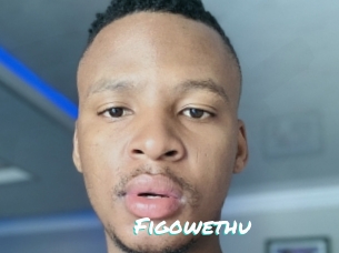 Figowethu