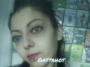 Gattahot