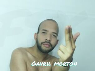 Gavril_morton