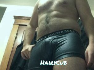 HairyCub