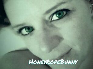 HoneyRopeBunny