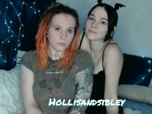 Hollisandsibley