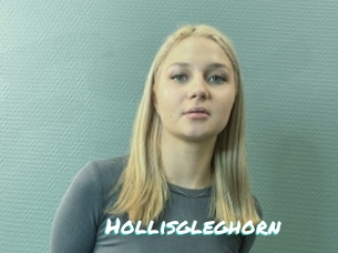 Hollisgleghorn