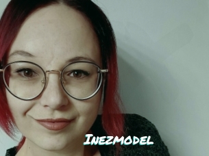 Inezmodel