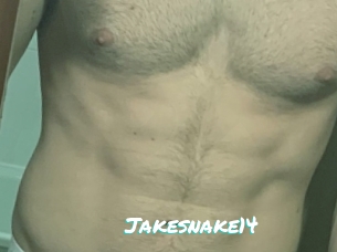 Jakesnake14