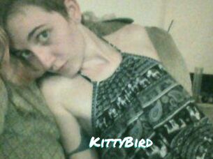 KittyBird