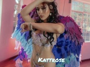 Kattrose