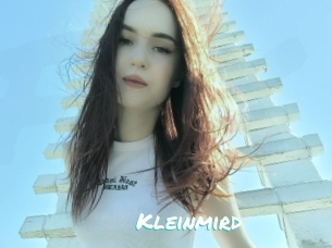 Kleinmird