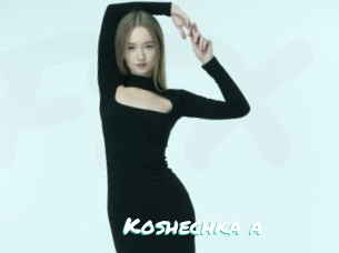 Koshechka_a