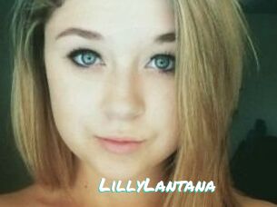 LillyLantana