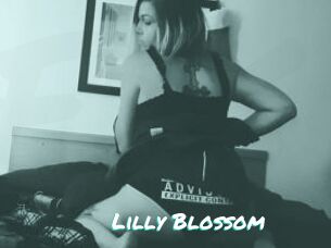 Lilly_Blossom