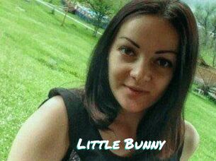 Little_Bunny_