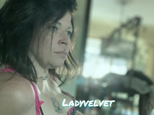 Ladyvelvet