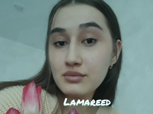 Lamareed