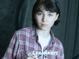 Leanakeys