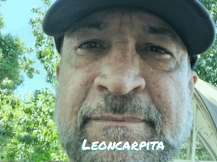 Leoncarpita