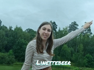 Linettebeer