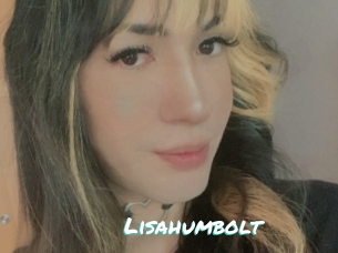 Lisahumbolt