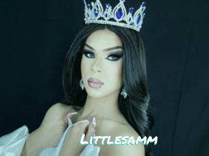 Littlesamm