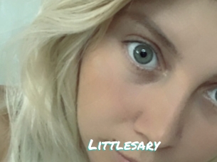 Littlesary