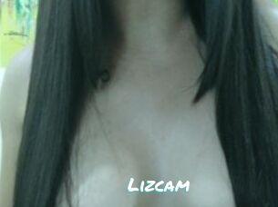 Lizcam