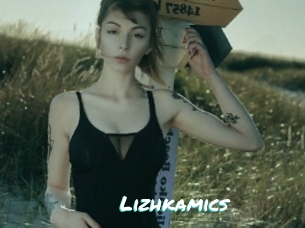 Lizhkamics