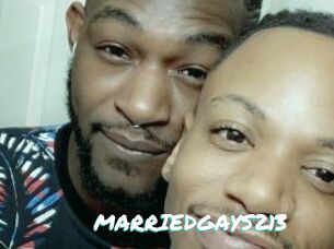 MARRIEDGAYS213