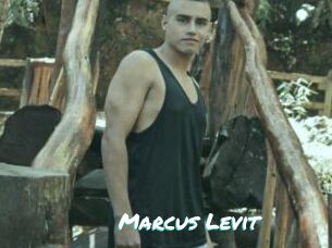 Marcus_Levit