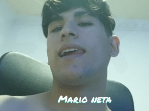 Mario_neta