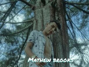 Mathew_brooks