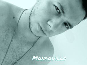 Monaguillo