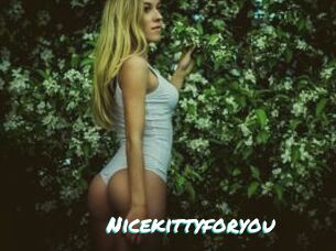 Nicekittyforyou