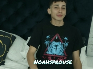 Noahsprouse