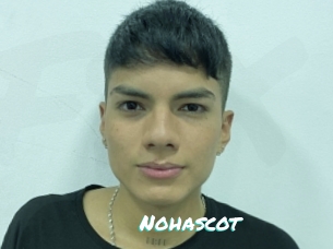 Nohascot