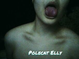 Polecat_Elly