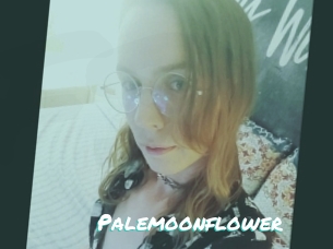 Palemoonflower