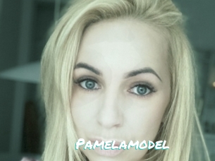 Pamelamodel