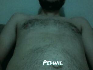 Pedwil