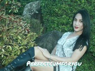 Perfectcumforyou